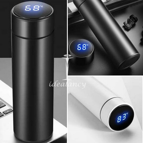 TEMPERATURE WATER BOTTLE